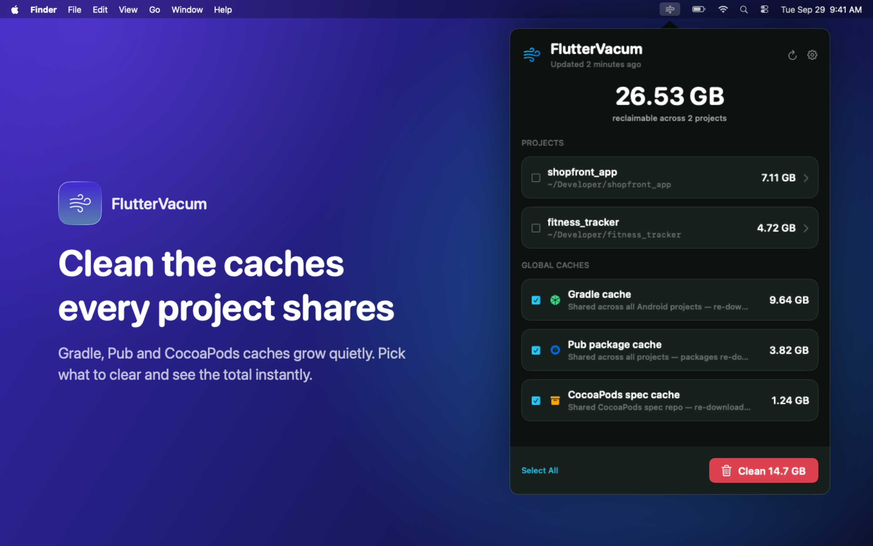 FlutterVacum global cache cleanup options